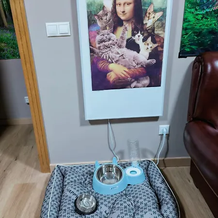 Hotel Vilaboa - Servicio De Boveda (Lugo)