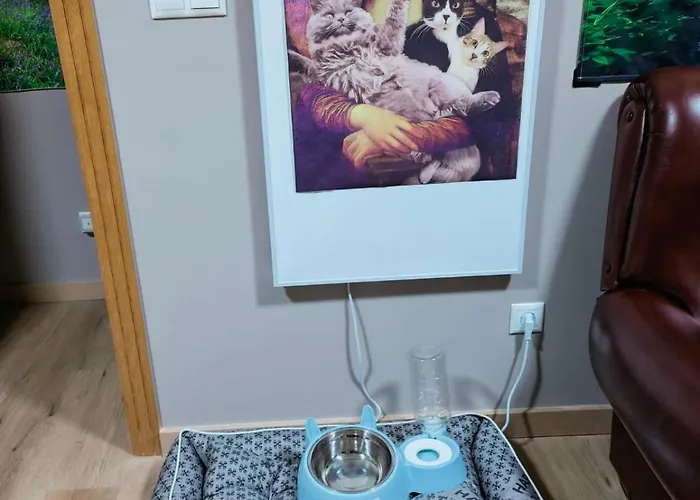 Отель Vilaboa - Servicio De Боведа